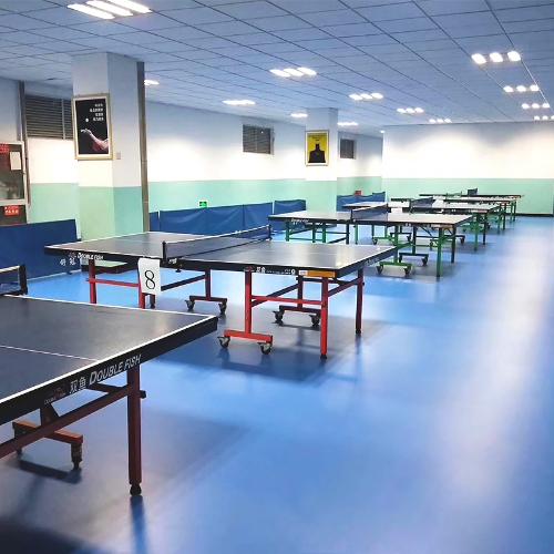 乒乓球室地膠專業室內防滑地膠墊乒乓球館健身房PVC塑膠運動地板