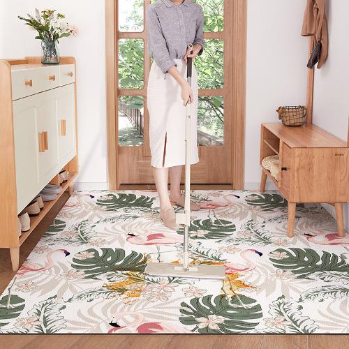 可擦洗進門地墊入戶門口腳墊光面易清洗PVC地毯家用玄關免洗墊子