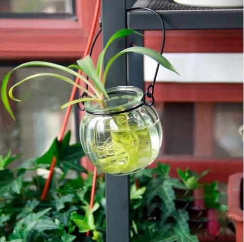 南瓜吊瓶南瓜瓶玻璃水培容器插花瓶水培吊瓶植物吊瓶花盆