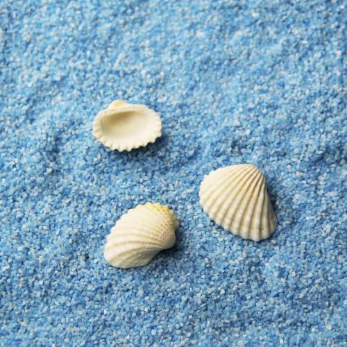 苔蘚微景觀飾品 白色小貝殼 裝飾品 DIY組裝小擺件玩具 造景插件