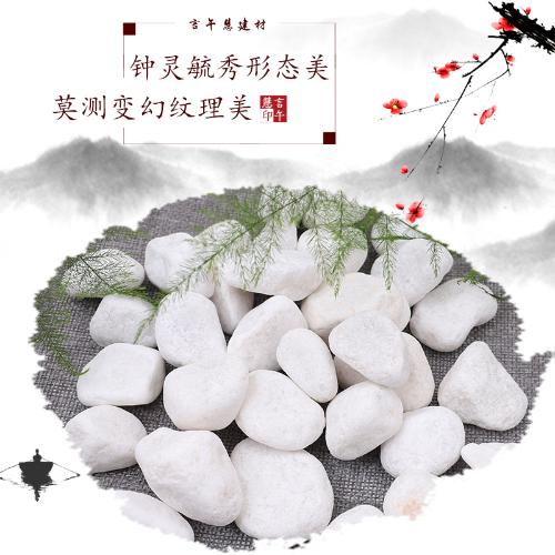 白色鵝卵石 多肉盆栽鋪面白石子鋪路魚缸裝飾白色小石頭雨花石