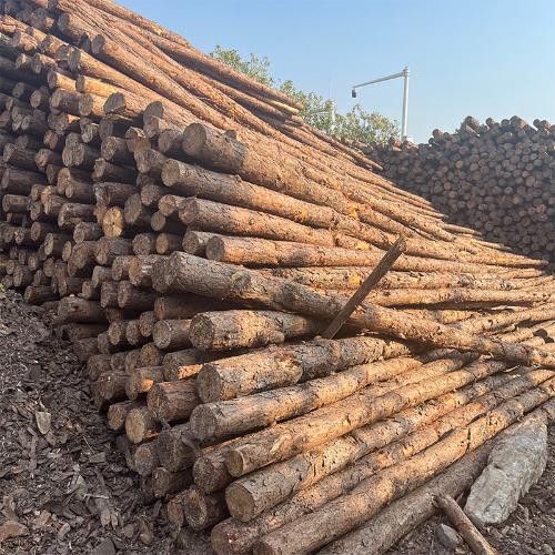 防洪護岸圓柱木材廠家批發加工 工地河道加固松木樁打樁木2-6米