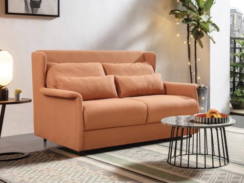愛可仕多功能沙發牀兩用可摺疊客廳雙人坐臥小戶型多功能推拉沙發